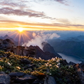20190804-DSC07479