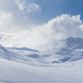 20190202-DSC09664