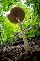 20220903-DSC06525